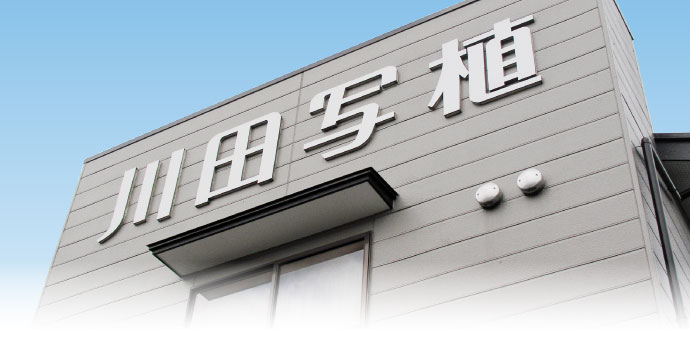 社屋外観